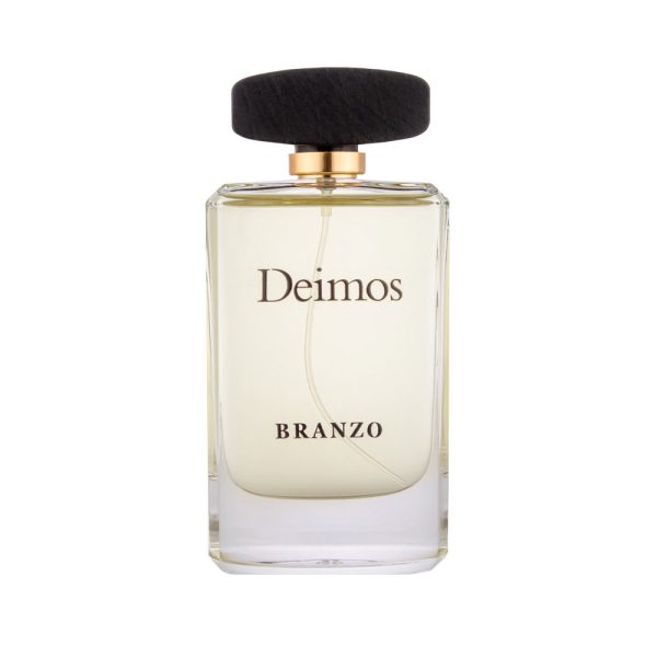 عطر مردانه برانزو مدل DIEMOS رایحه پاکو رابان اینویکتوس آکوا حجم 100 میلی لیتر