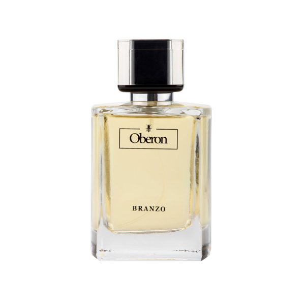 عطر مردانه برانزو مدل OBERON رایحه دیور هوم اینتنس حجم 100 میلی لیتر