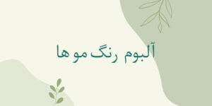 آلبوم رنگ مو ها